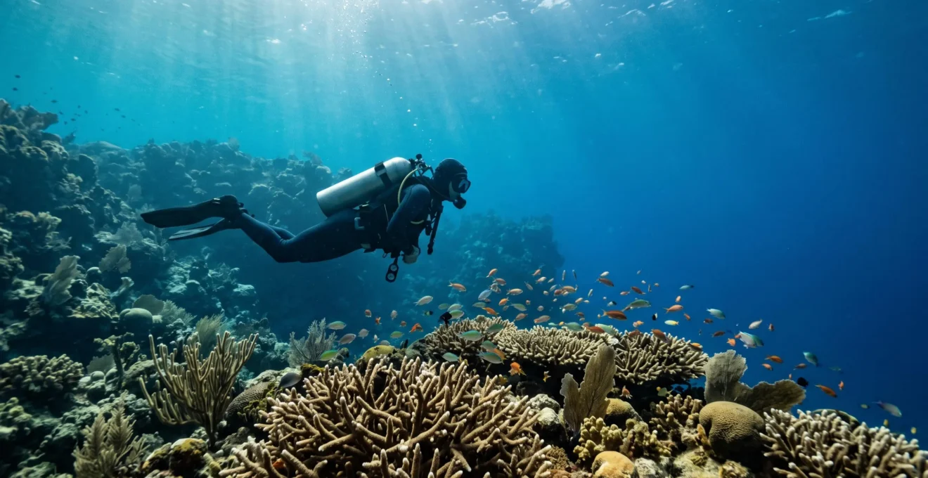 Plongeur en pleine exploration d'un récif corallien intact aux eaux turquoise cristallines de la République dominicaine