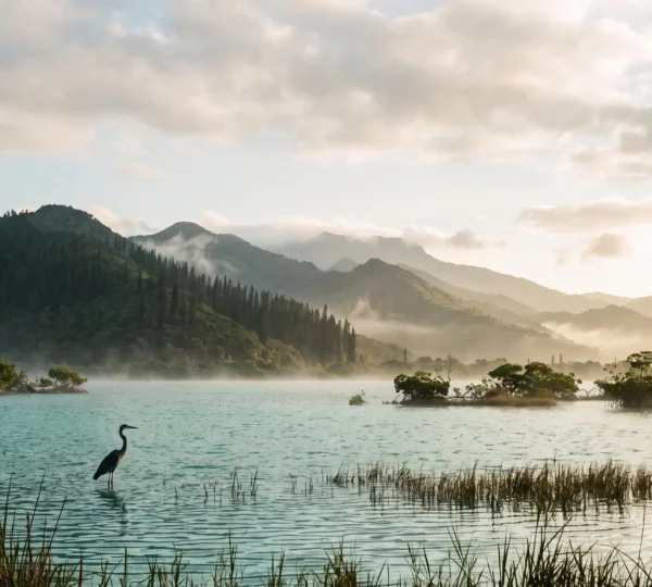 Vue panoramique d'une réserve de biosphère en République dominicaine mêlant montagnes, forêt tropicale et lagune côtière