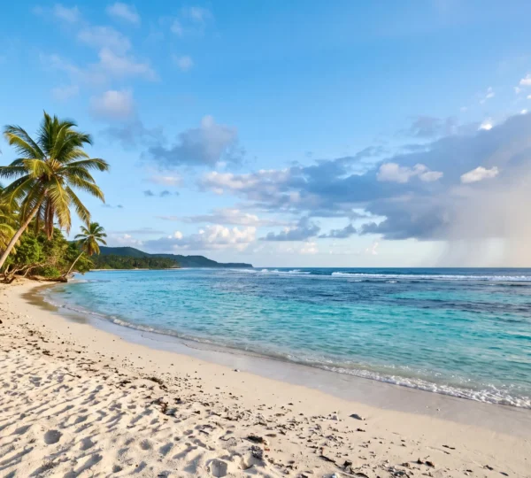 Plage caraïbéenne baignée de soleil avec palmiers et eau turquoise, symbolisant l'ensoleillement constant de la République dominicaine